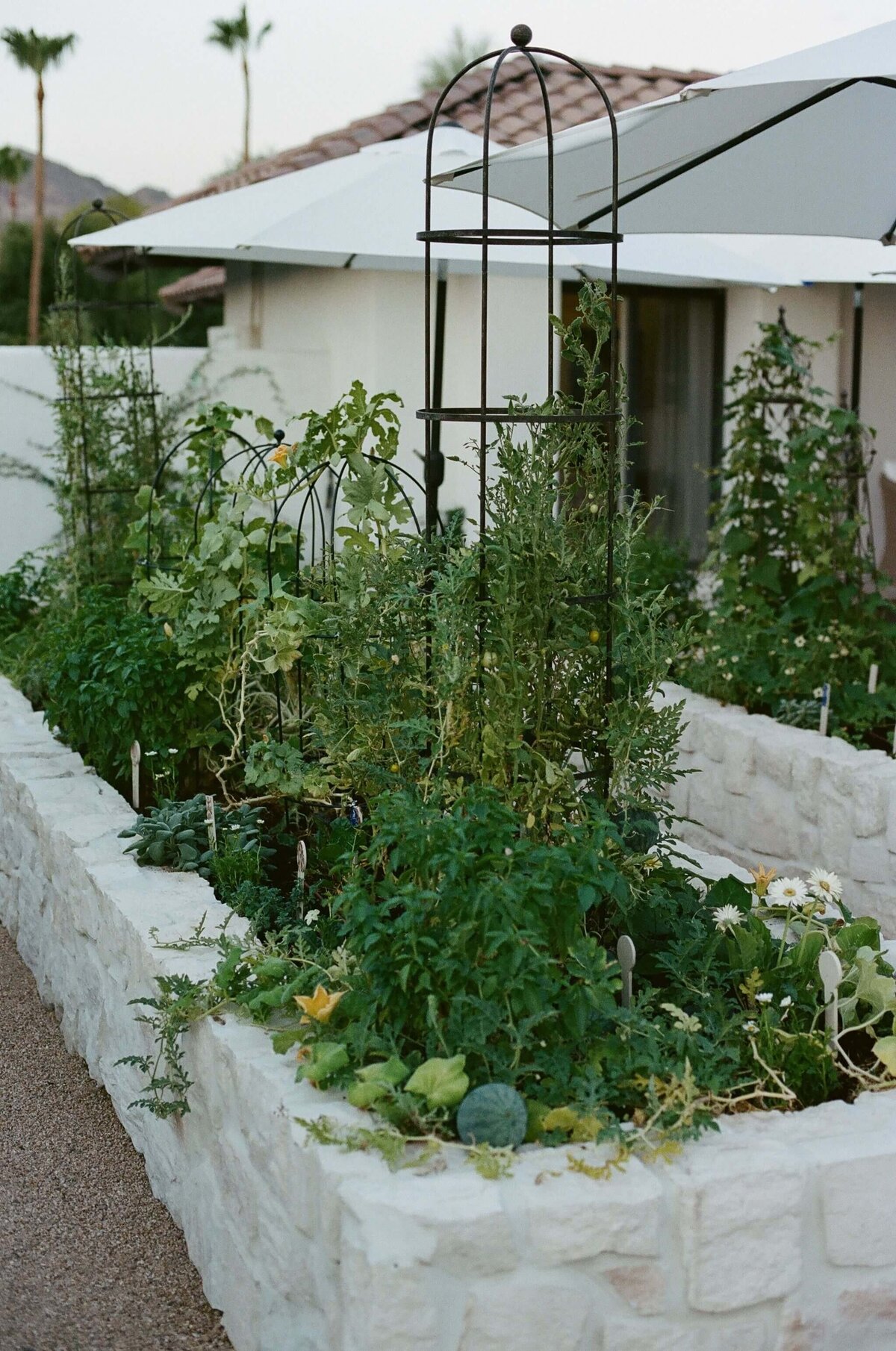 French-Stone-Garden Beds-Hacienda