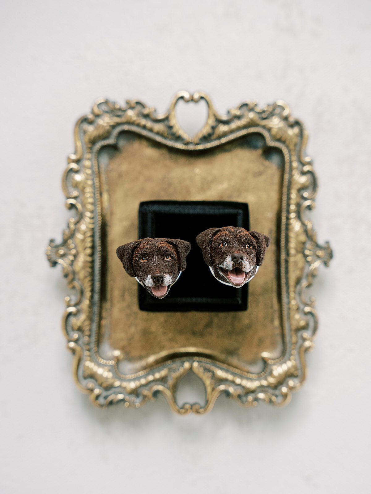 Cufflinks with face of pup  on them.