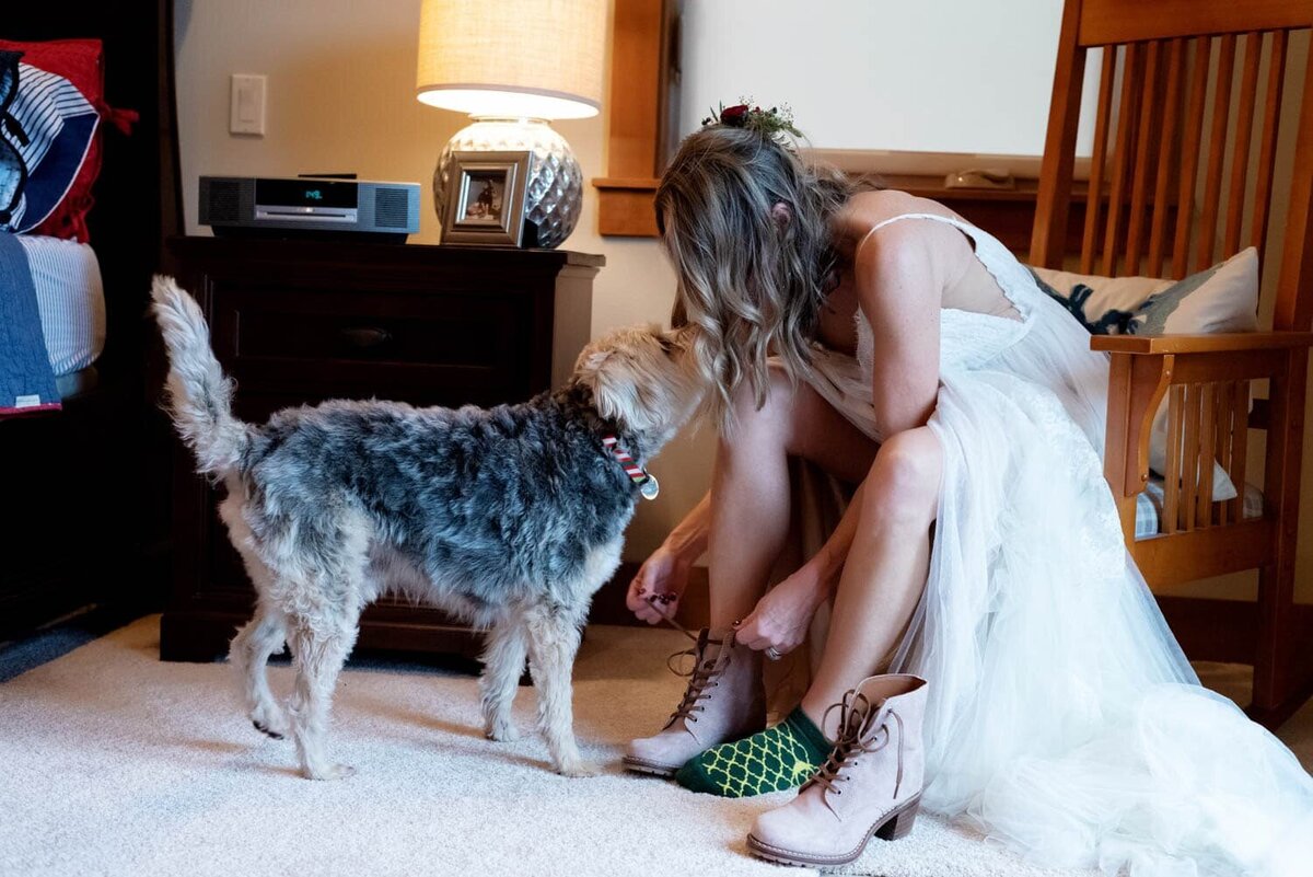 a dog licks a brides face as she puts on her wedding shoes