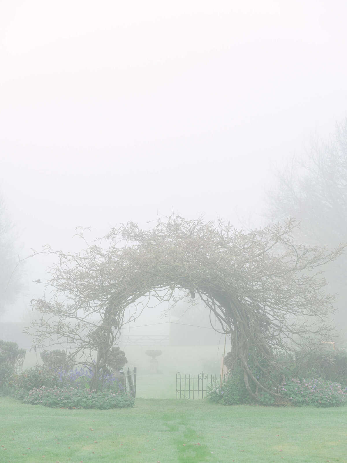 23-Dorset English Countryside Fog