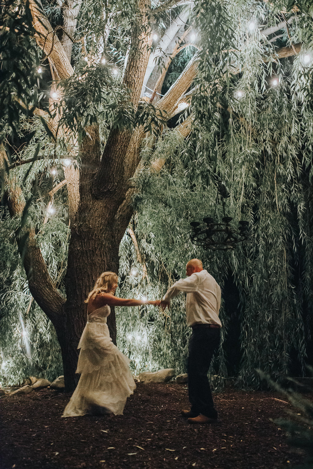 Monica_Relyea_Events_Dawn_Honsky_Photography_Nostrano_vineyard_brdie_and_groom_willow_tree