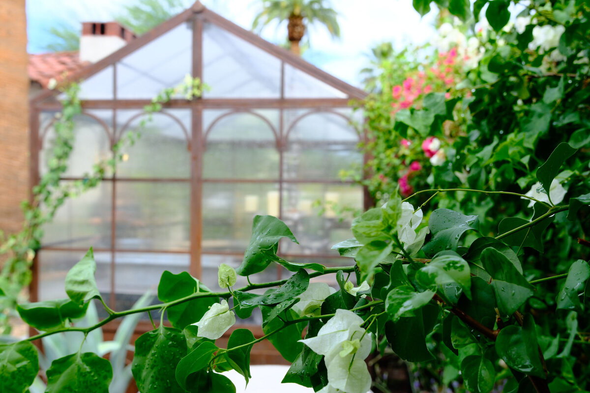 Willows-Garden-Le-Potager38