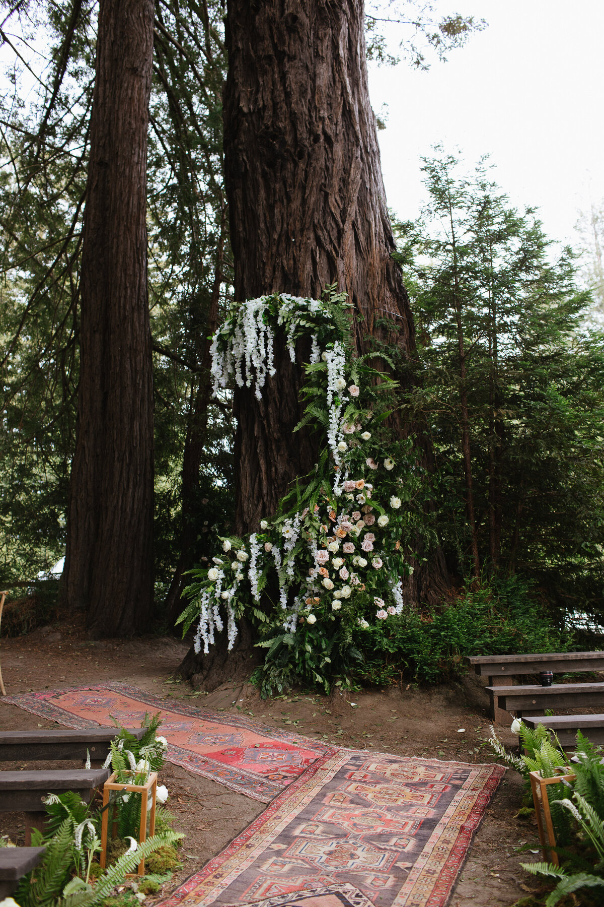 Draping Flowers on a Redwood Tree  for a wedding ceremony