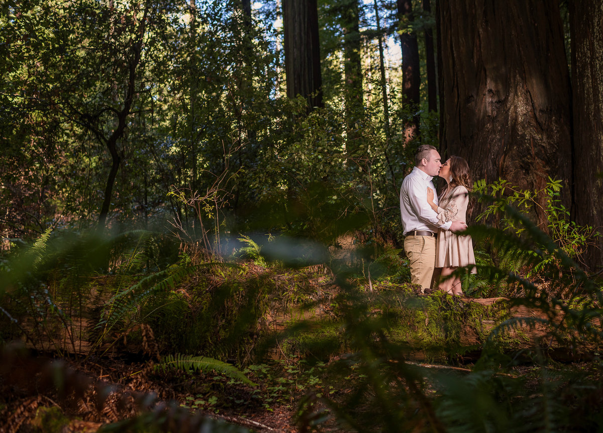 Redway-California-engagement-photographer-Parky's-Pics-Photography-Humboldt-County-redwoods-Avenue-of-the-Giants-engagement-3.jpg