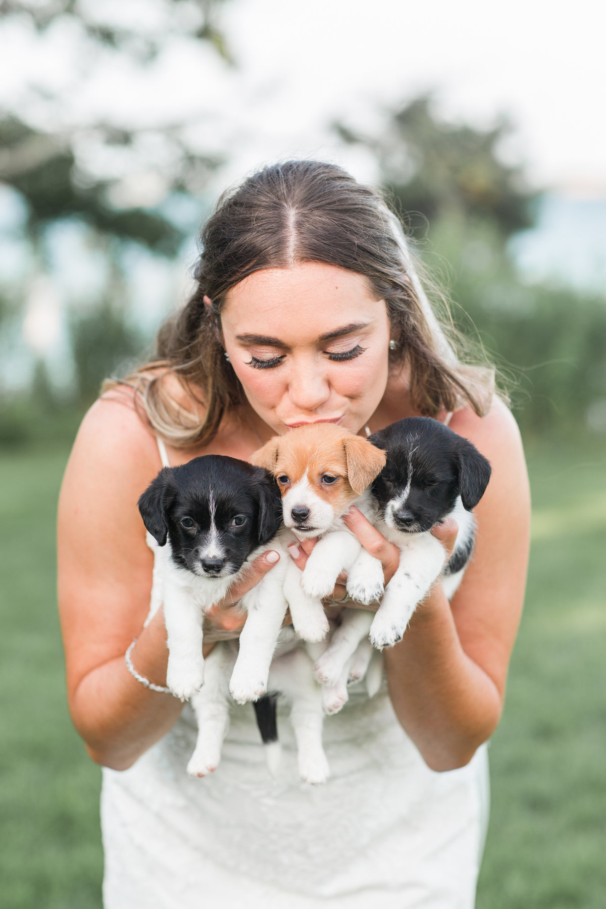 Bride holding and kissing three adoptable puppies