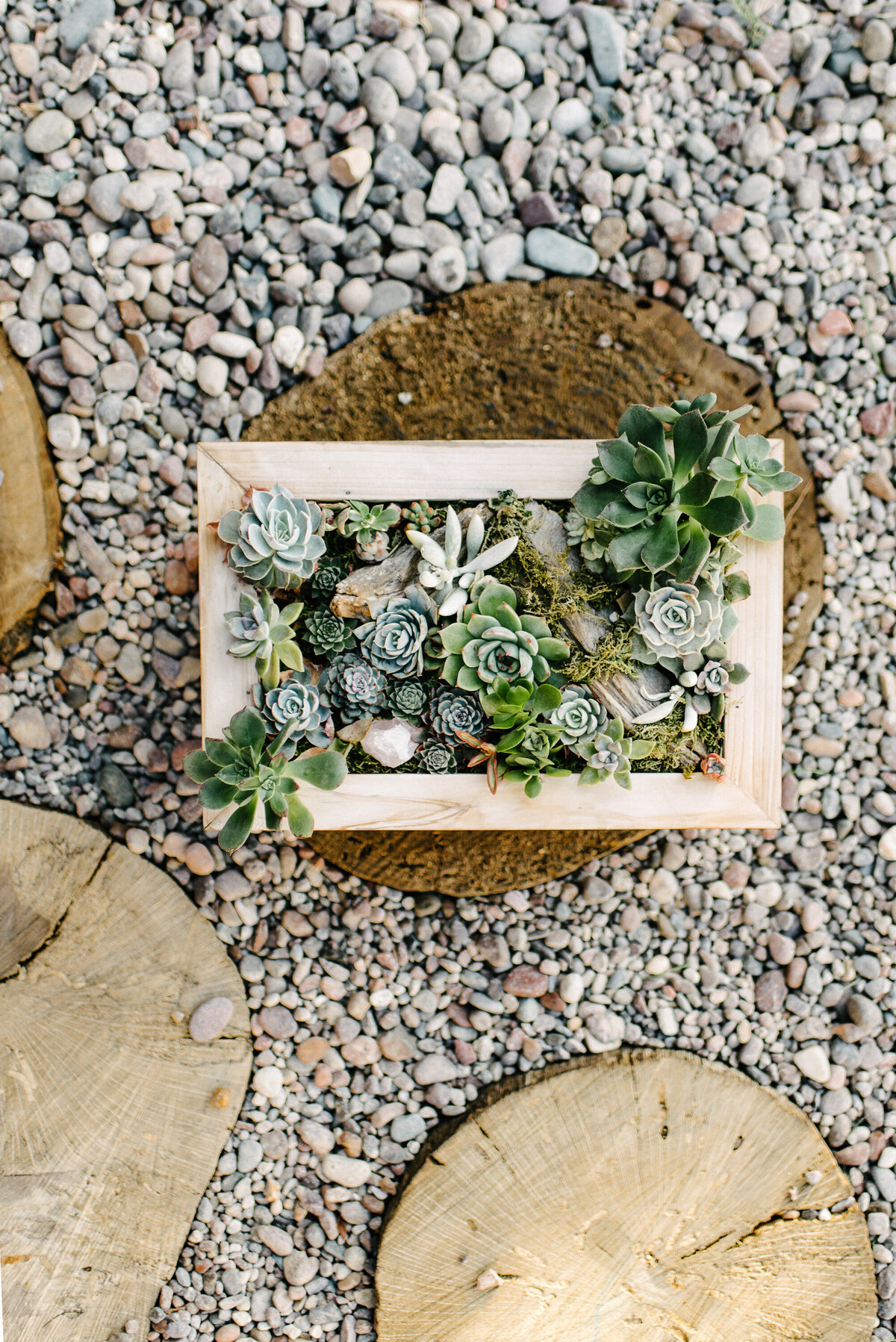 San Diego Branding Photographer_Infinite Succulent-planter box-8