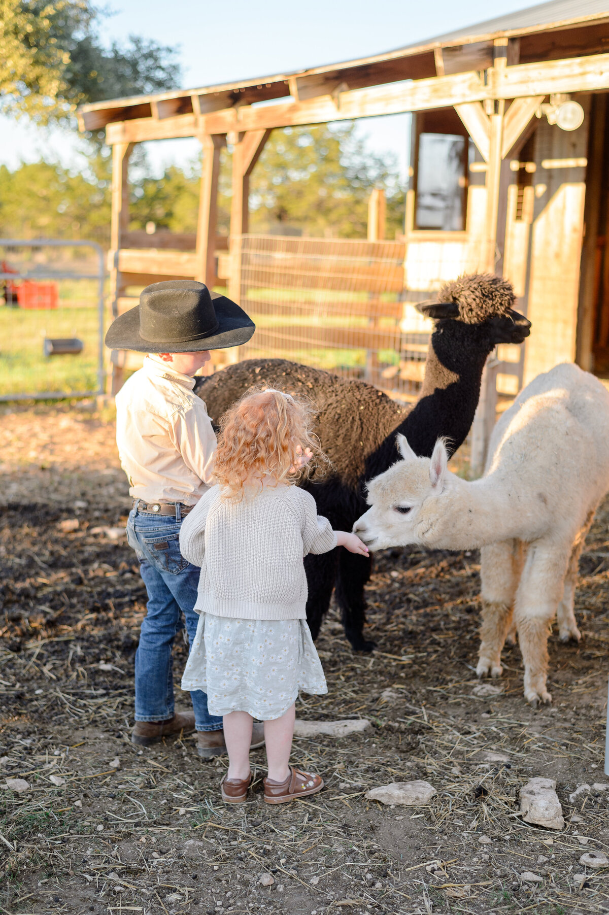 Sundance Hill Farm Branding + Austin TX Photographer 45