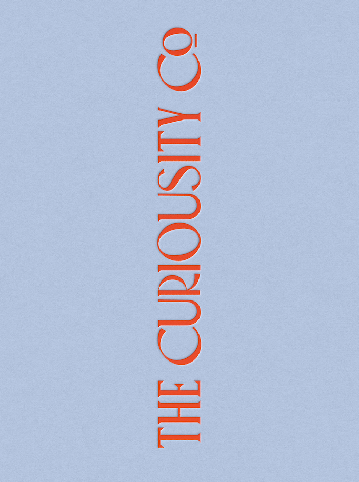 The Curiousity Co - Semi Custom_Sexy Design 6