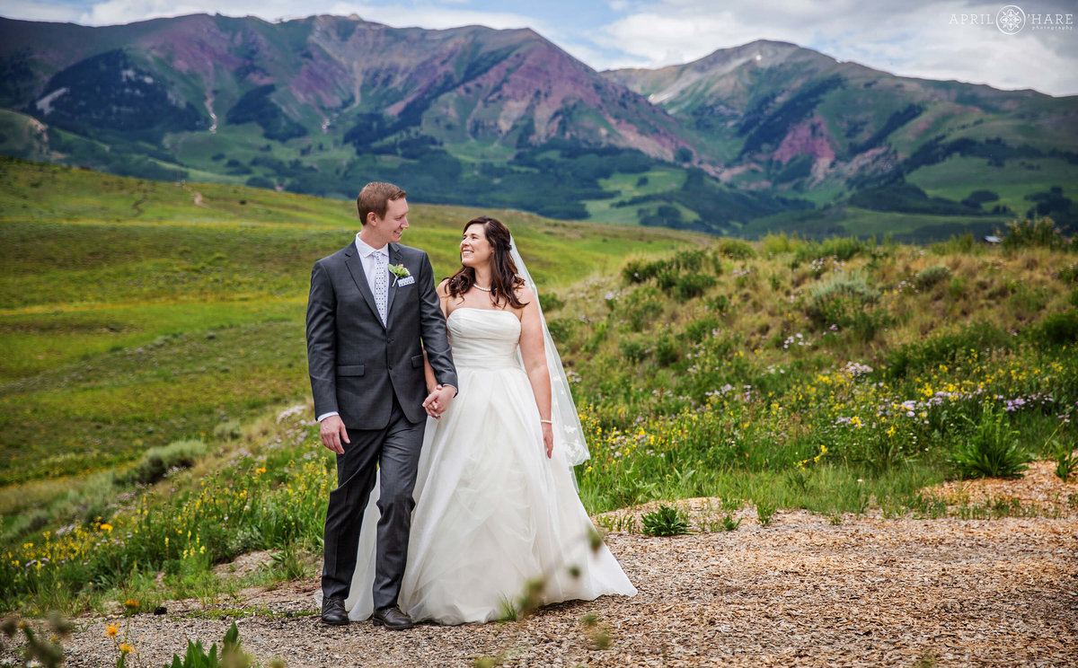 Pretty Purple Mountain Wedding Backdrop in Crested Butte