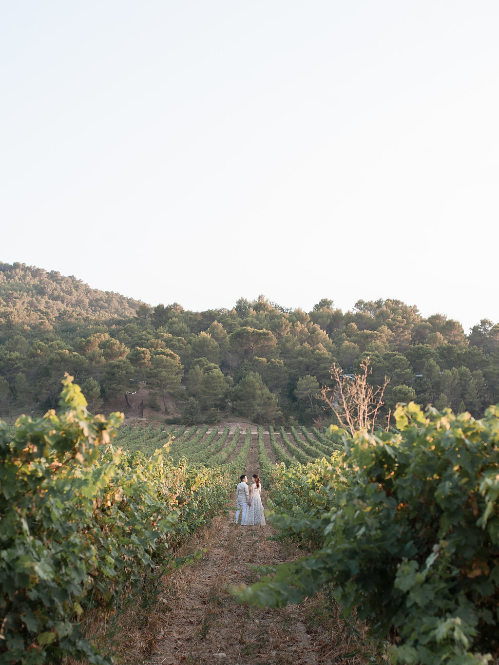 Outstanding wedding venue, Château Lacoste, Provence Lavender and Rose