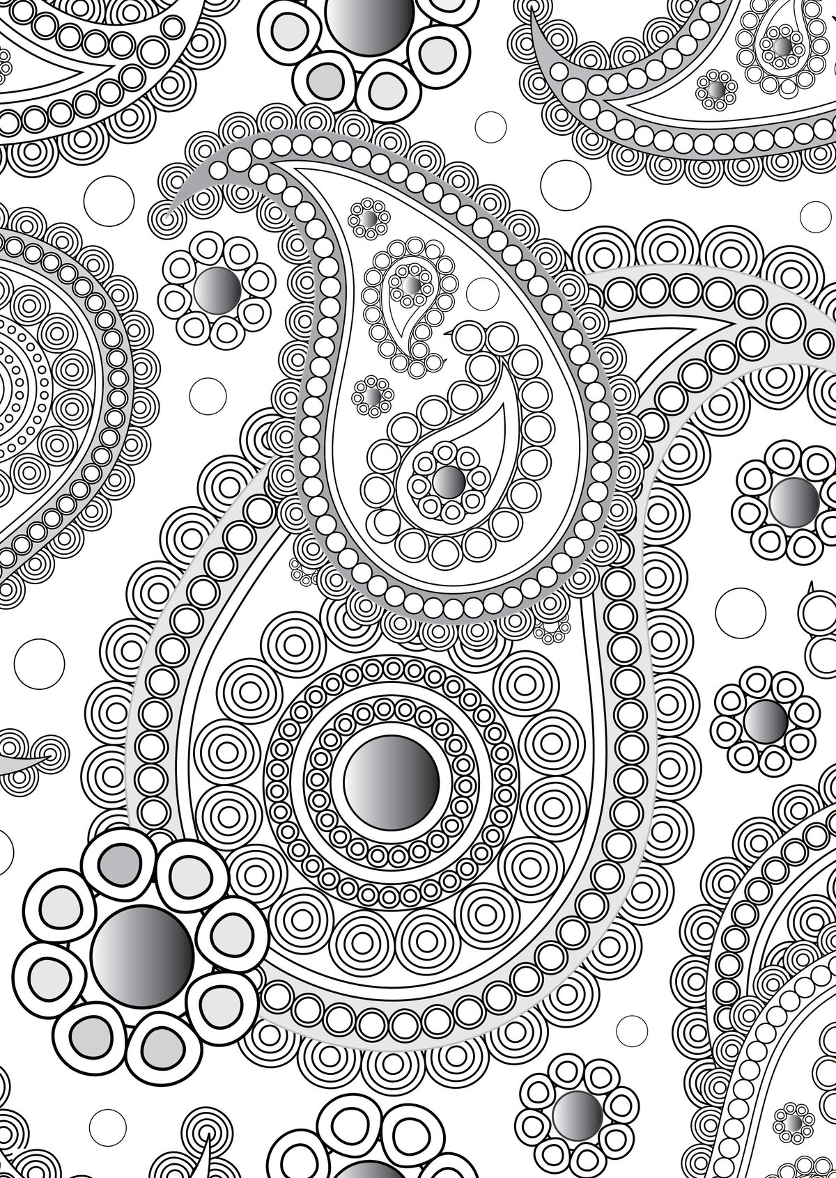 Paisley