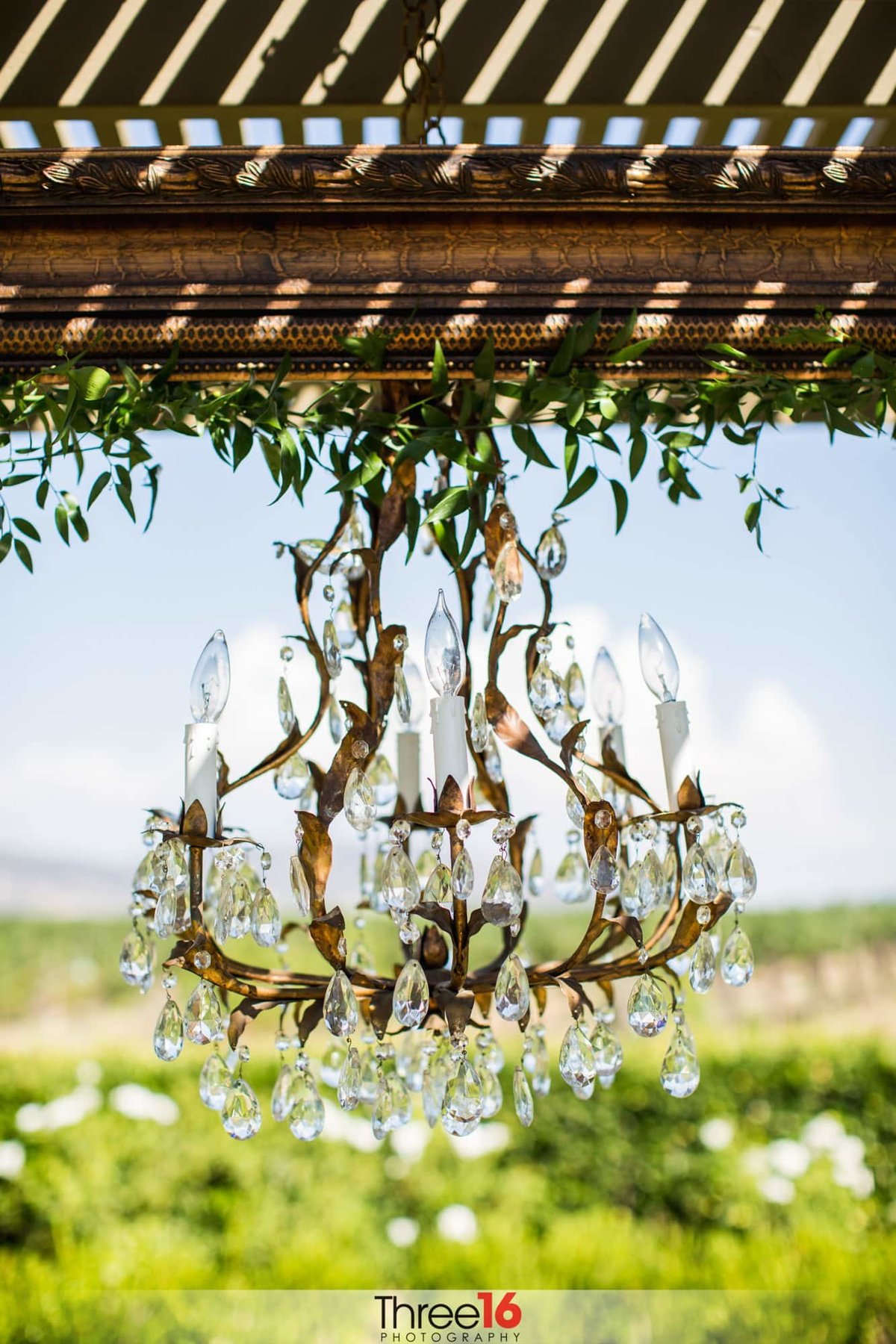 Ponte Winery chandelier