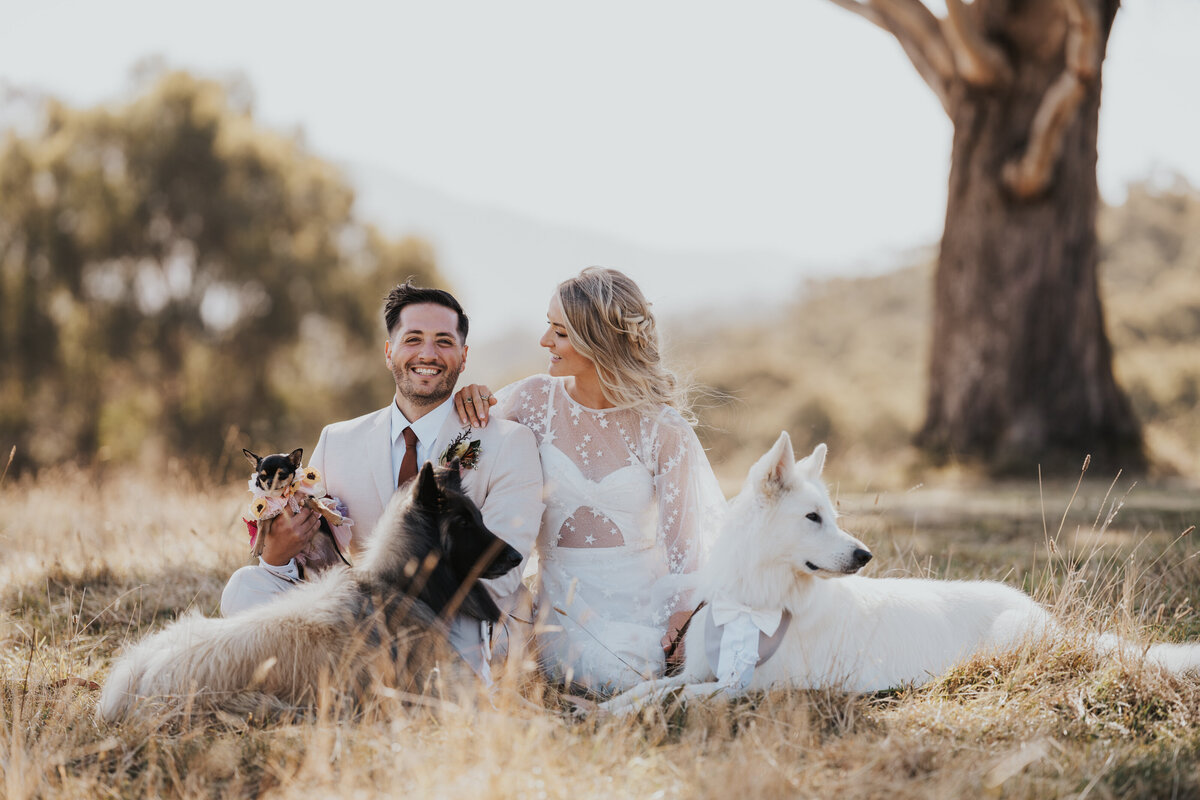 dogs-at-weddings-LoveWilder2