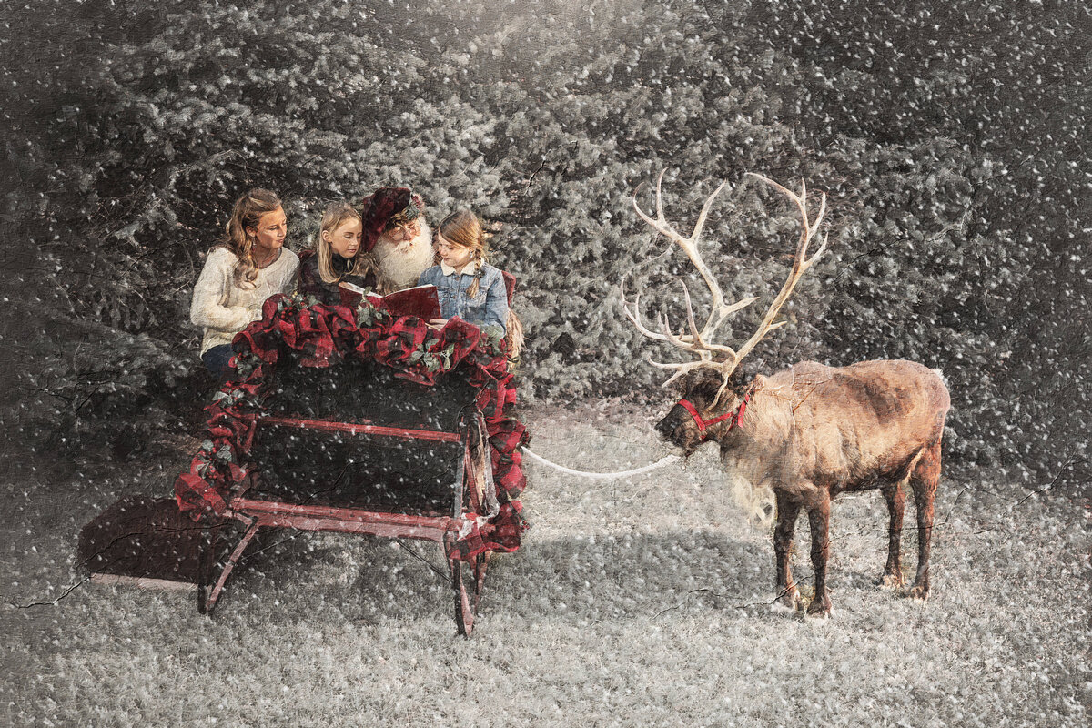 Senn_Reindeer-21_29-snow-painted