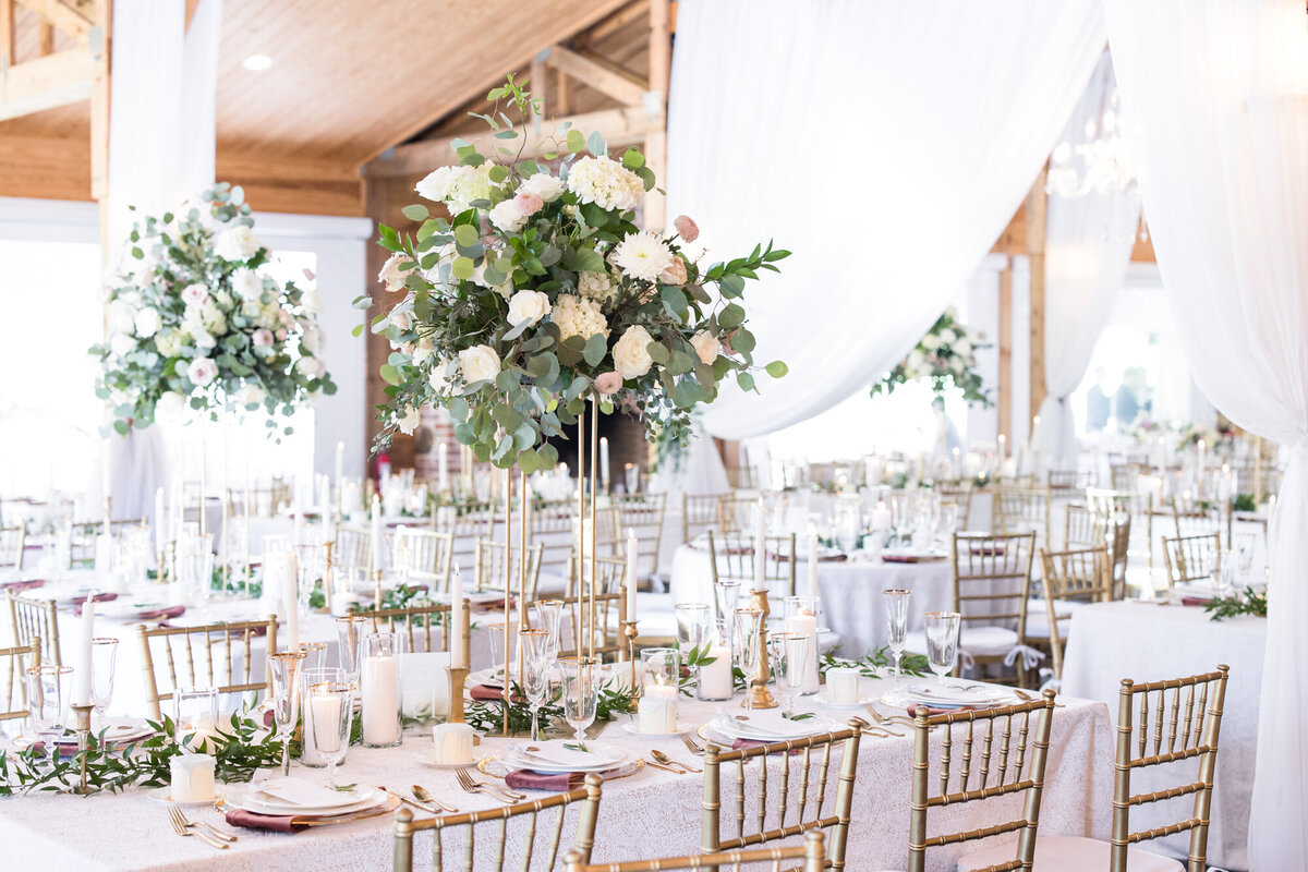 south-wind-ranch-Greenville-SC-Photographer-36