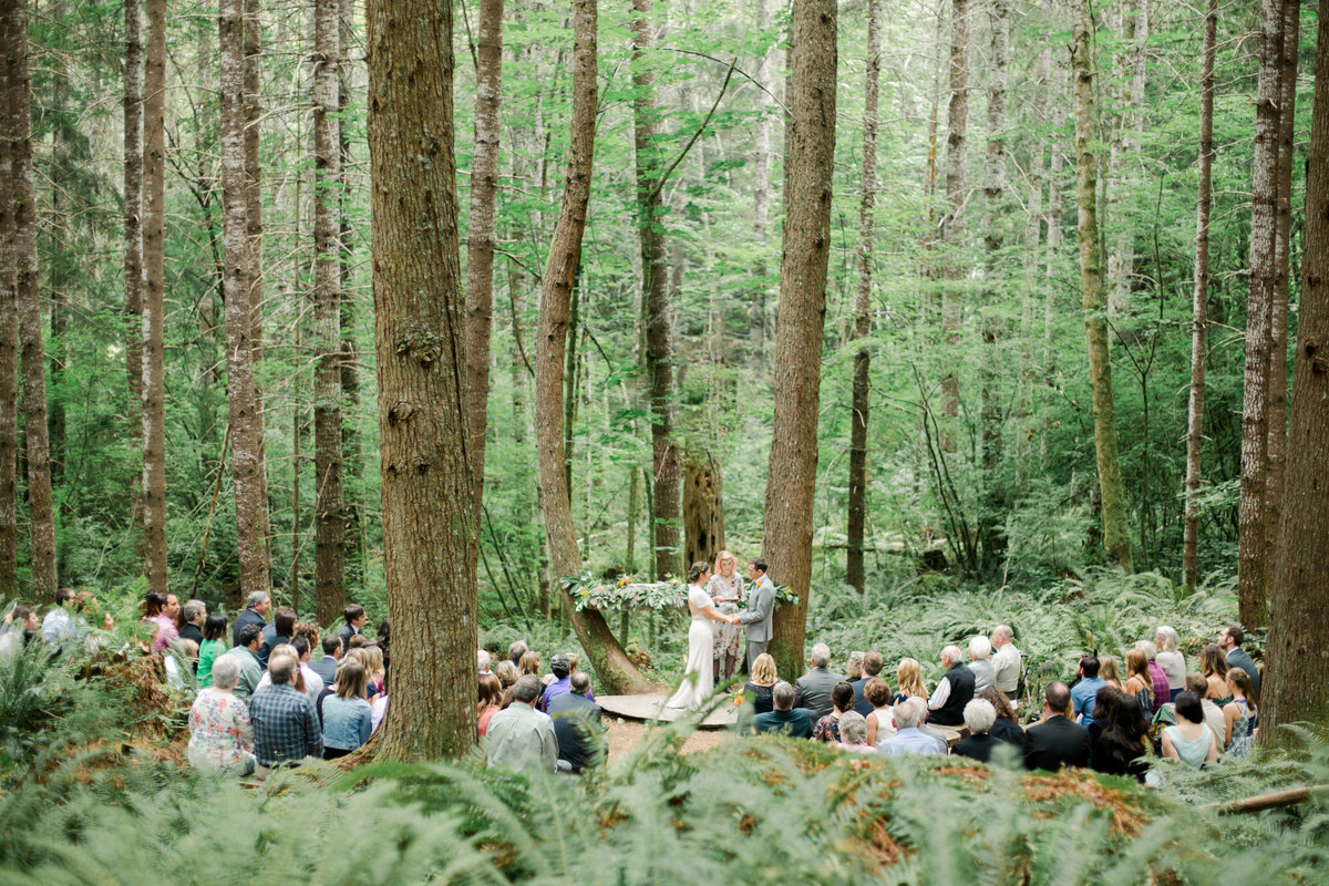 wedding ceremony in the deep woods at base of mount rainier