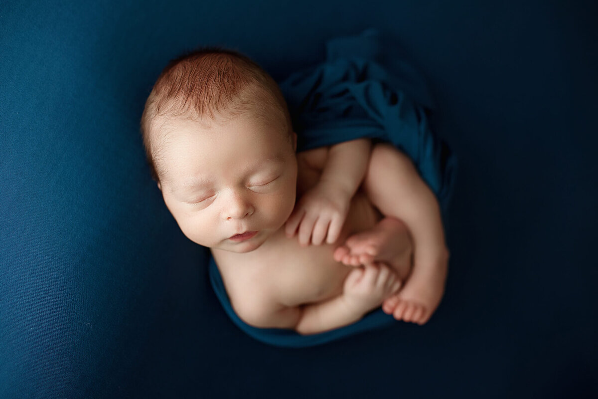 Baby boy wrapped in blue posed for his newborn photography session.