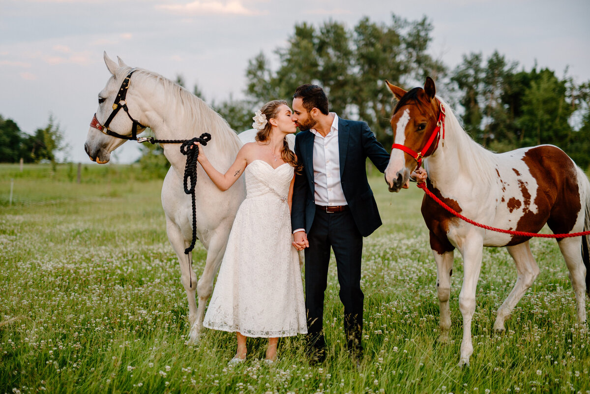 bride and groom kissing and holding horses on the side