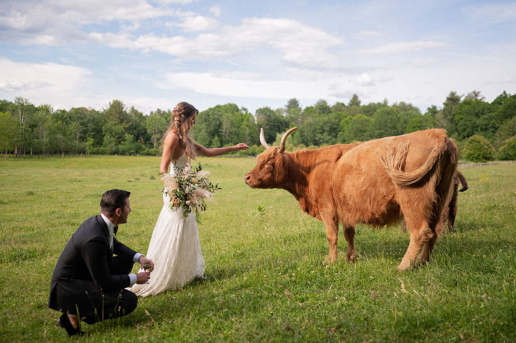 Editorial documentary wedding photography blending refined artistry with timeless emotion in Oregon and Adirondacks.