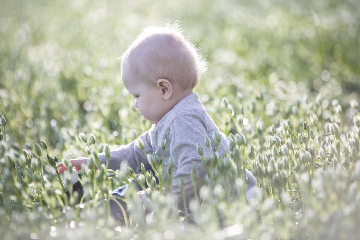 baby in flower field