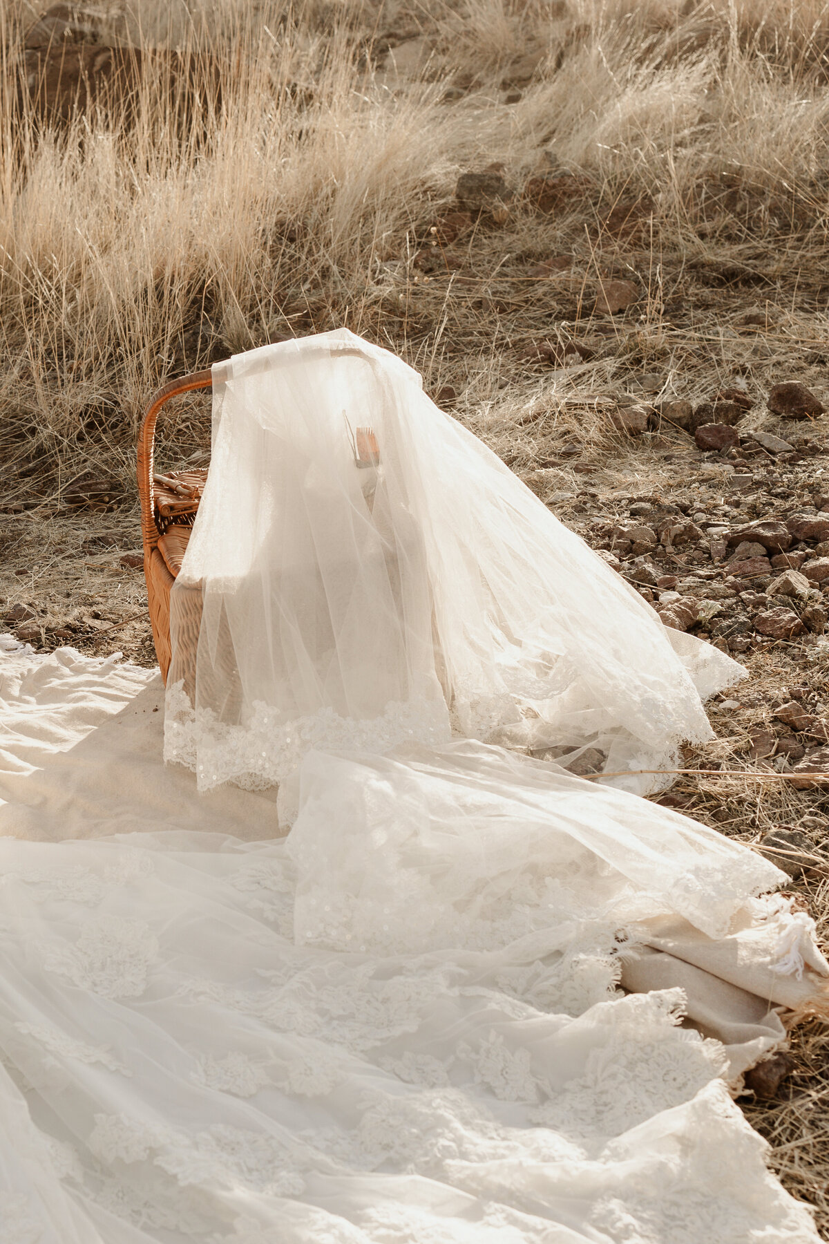 Rocky Mountain National Park Elopement German & Daniela