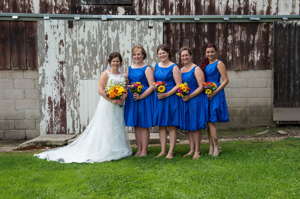 traditional posed bridal party