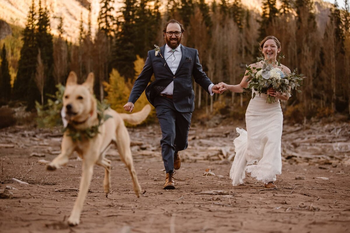 Hiking elopement with dog in Aspen, Colorado