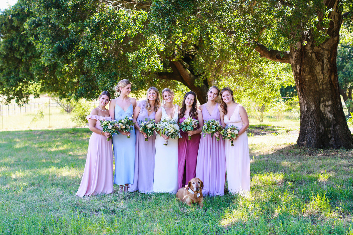 2023 Colorful Northern California Wedding Inspiration Greer Rivera Wedding Photography Bay Area Wedding Photos