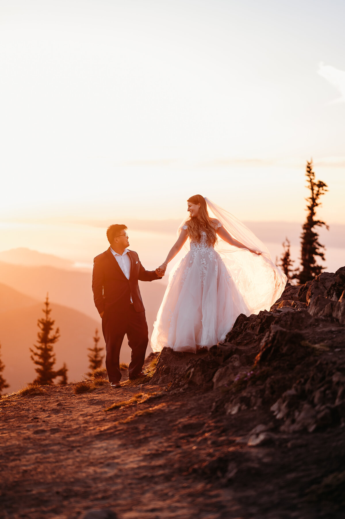 Olympic National Park Washington State Hurricane Ridge Wedding and Elopement Photographer