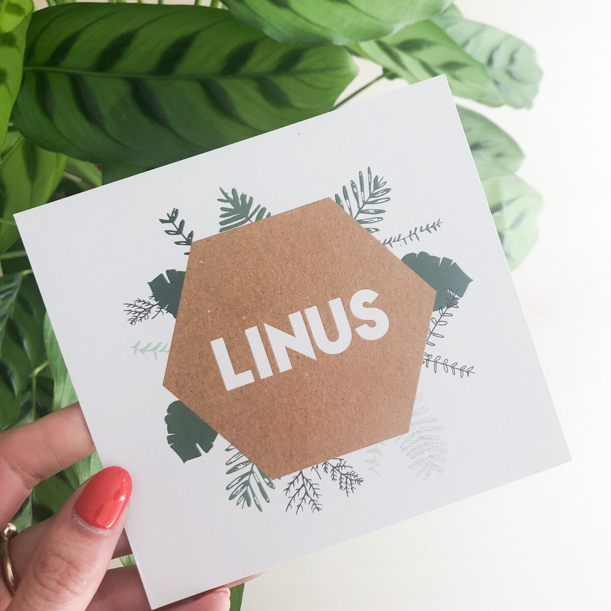 04-07_Linus