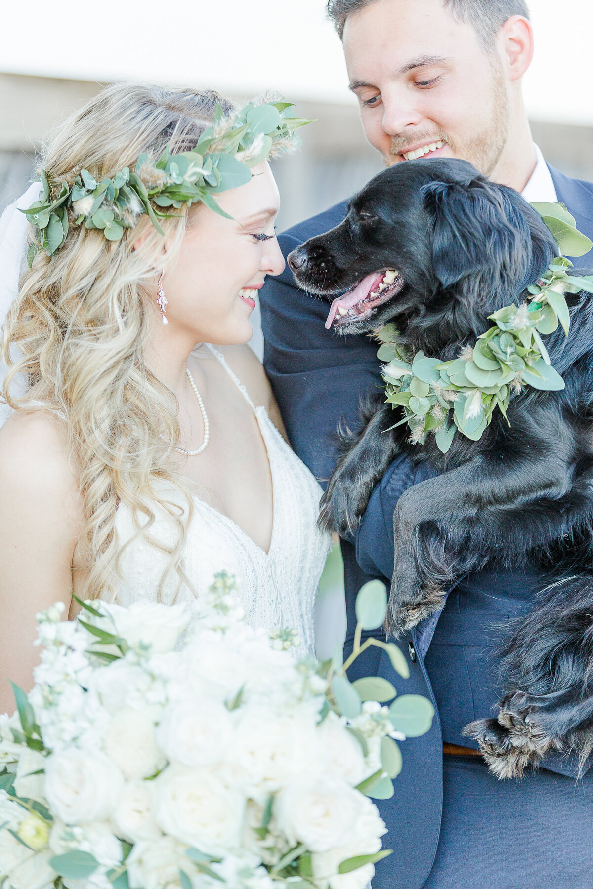 A candid photo at the Madison Beach Hotel. A groom is holding his black lab pup. The bride's nose is touching the dog's. Bride and groom are smiling. The groom is looking at the bride. Captured by CT wedding photographer Lia Rose Weddings