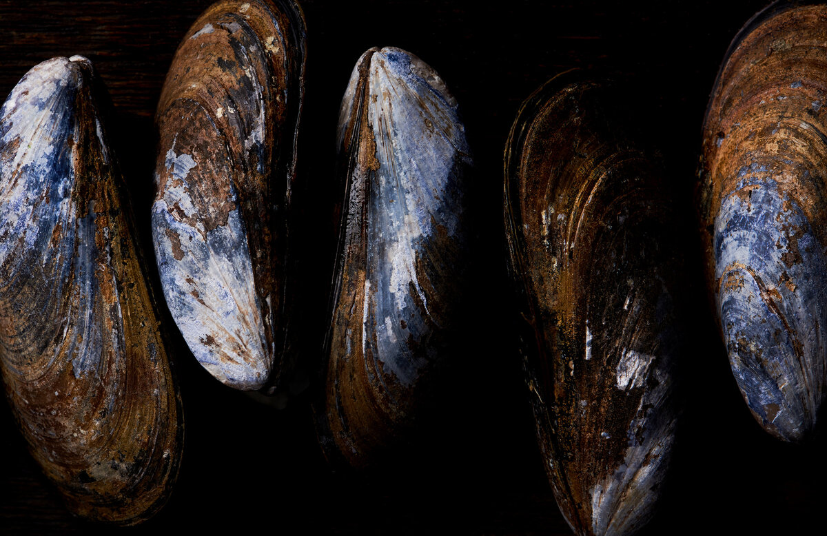 mussels-rbaroni-sm