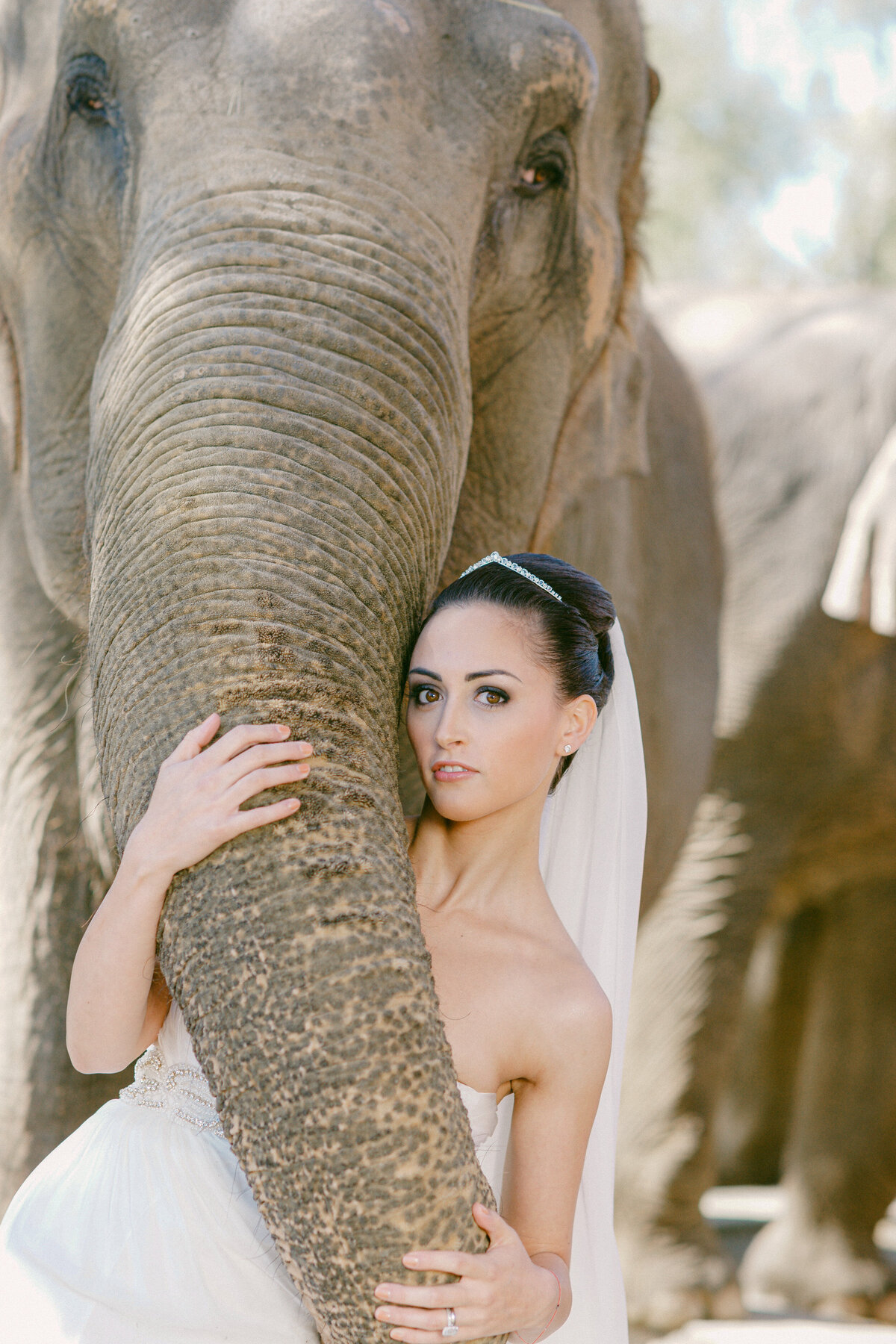 Elephant-Wedding-Shoot1