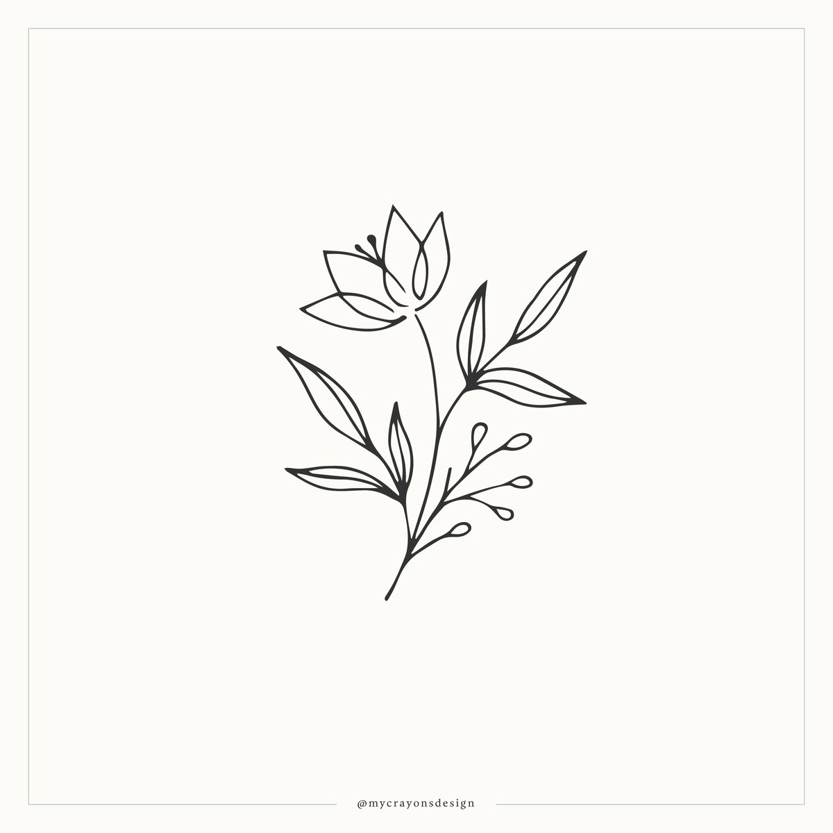 fine line botanical illustration
