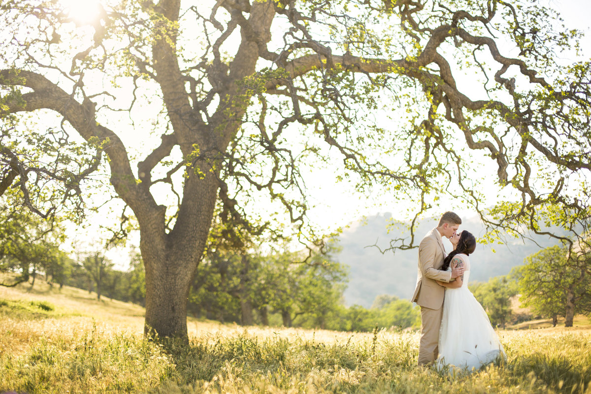 Wedding Photography, bride and groom kissing under an old tree