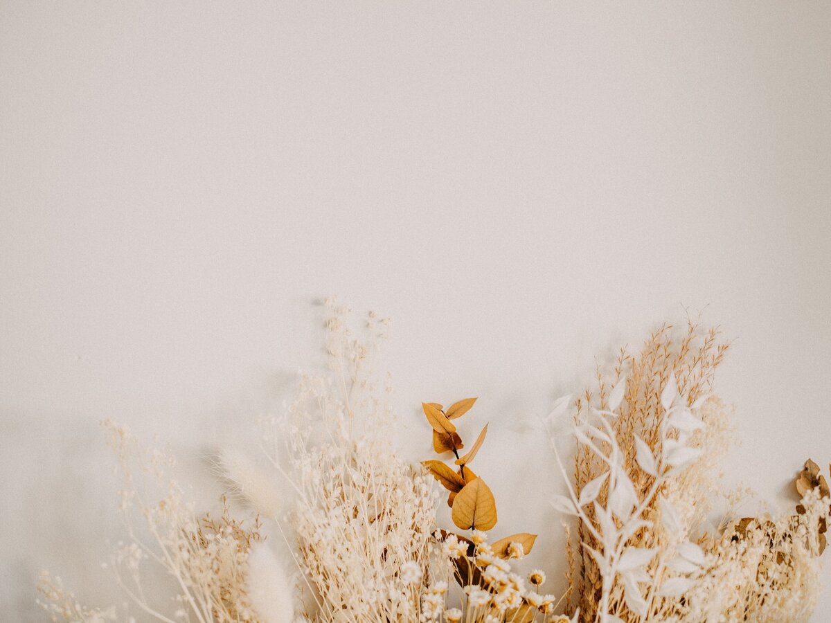 annie-spratt-ZUULm-nourc-unsplash