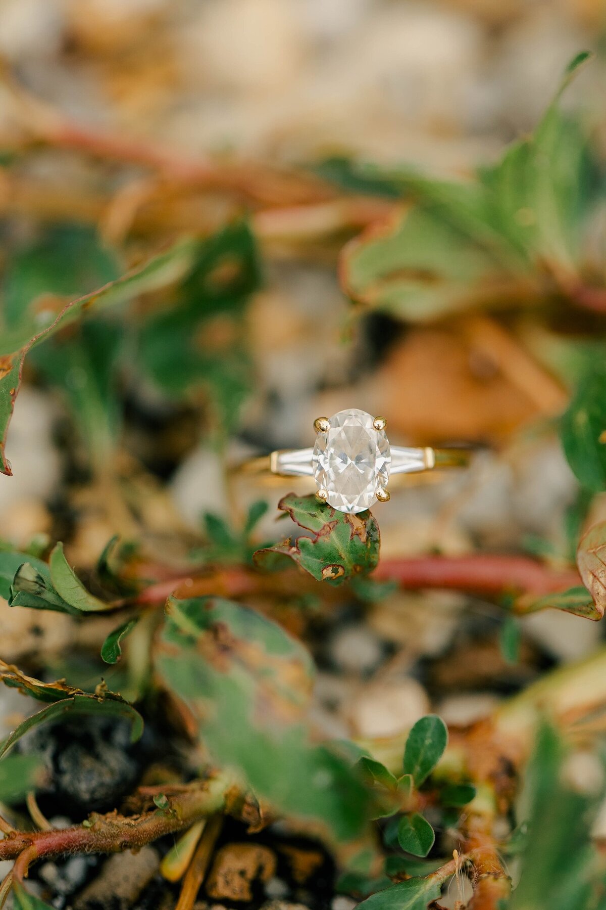 colonial williamsburg wedding photographer_4355