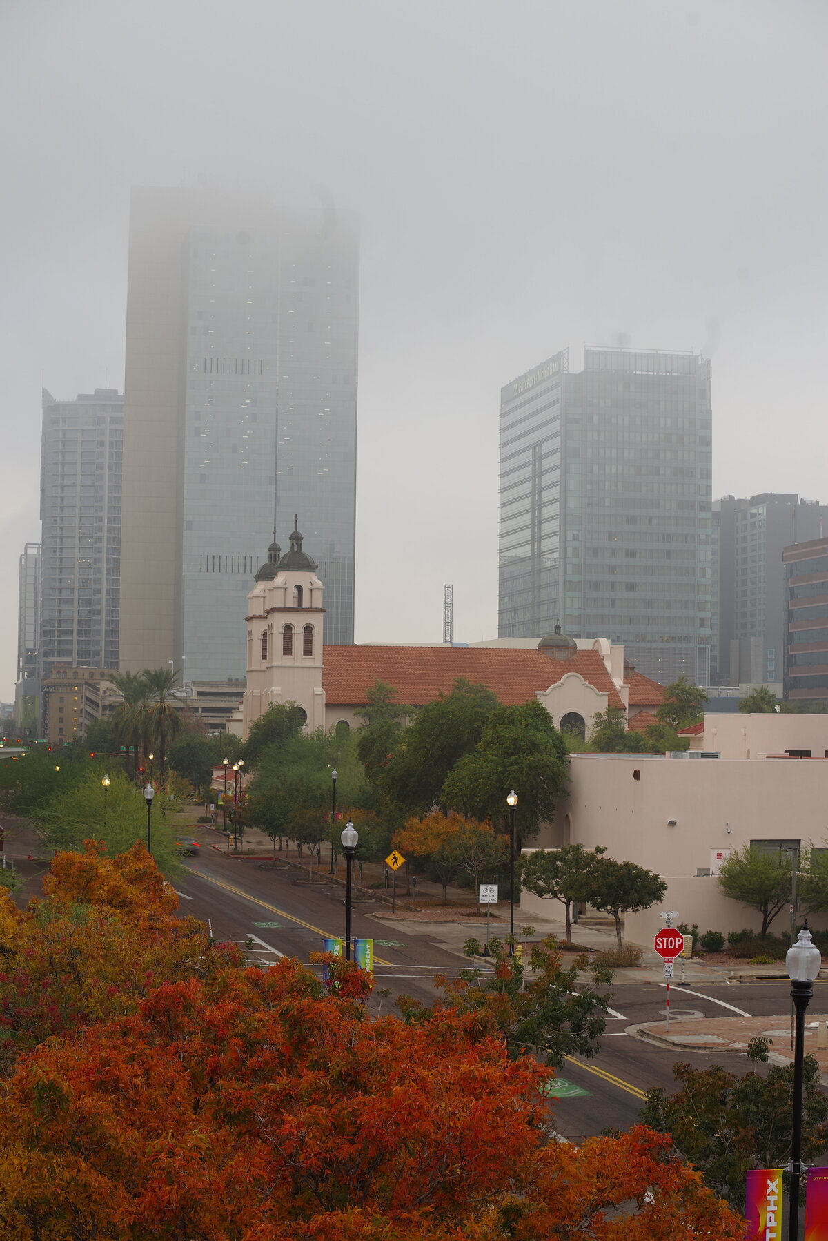 IMGP4848