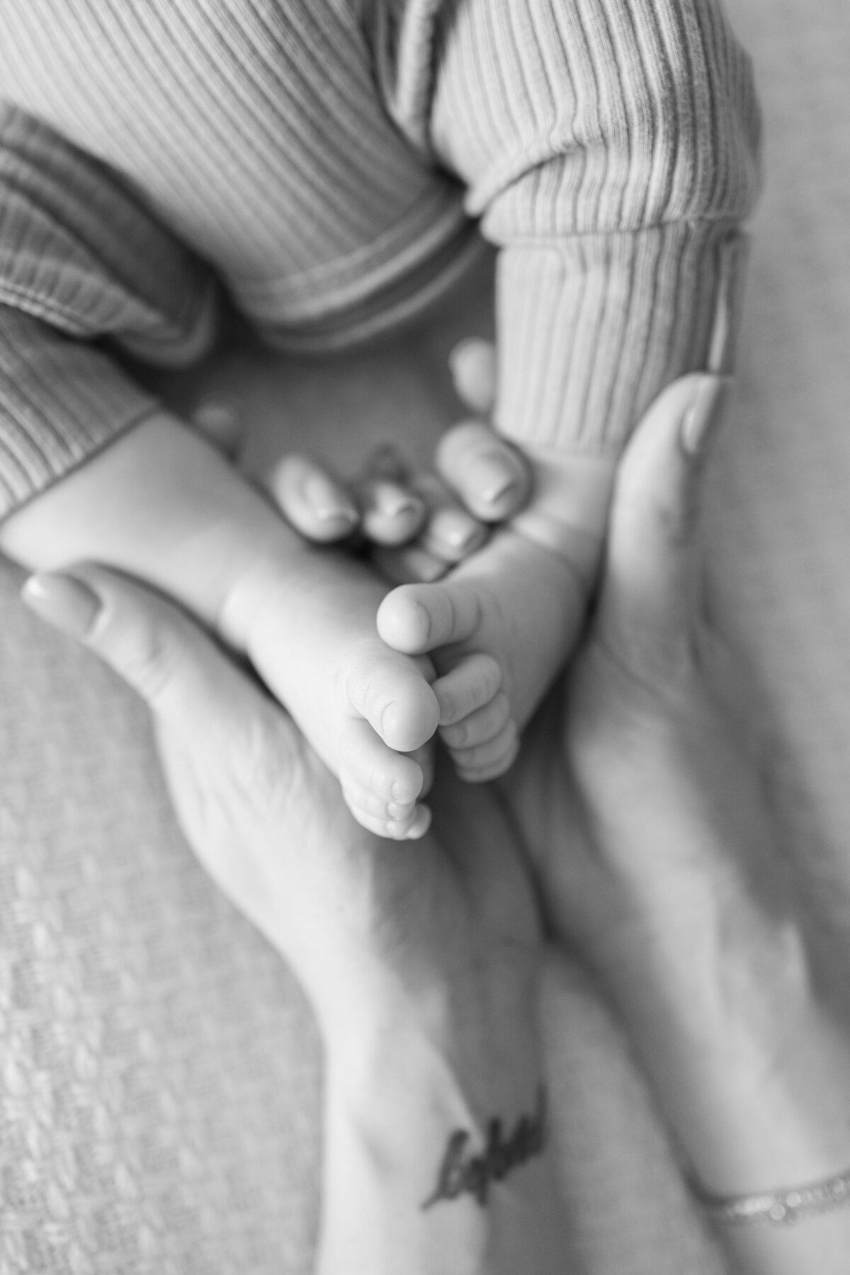 CBP_PaulFamily_NewbornPortraits_2024_FinalGallery-56