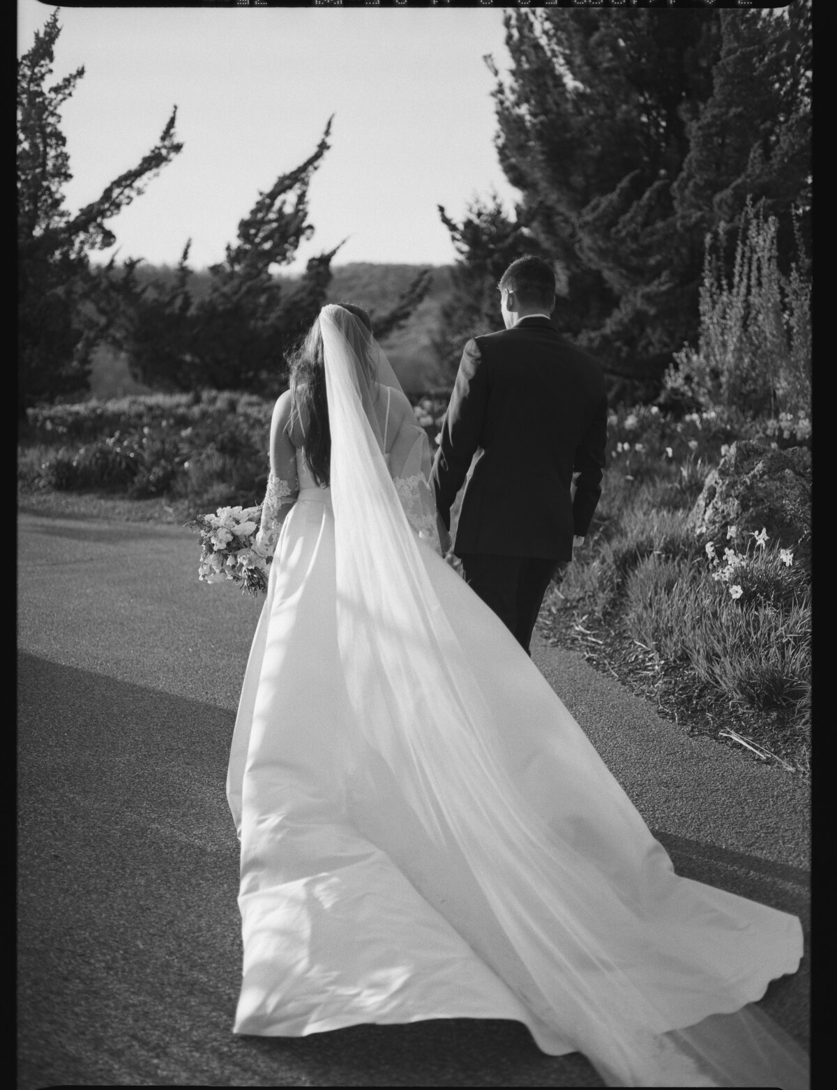 kodak_professional_t-max_400_04_28_2025_000239260007