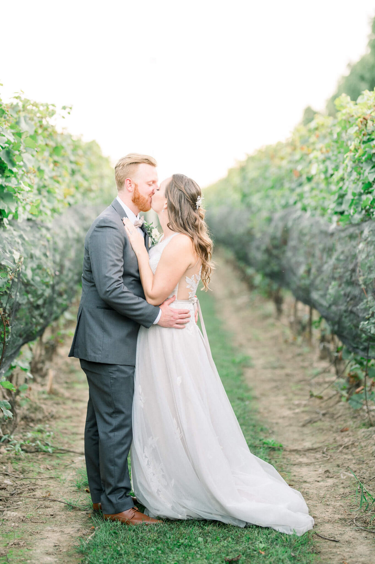 Bride and groom kiss in a vineyard