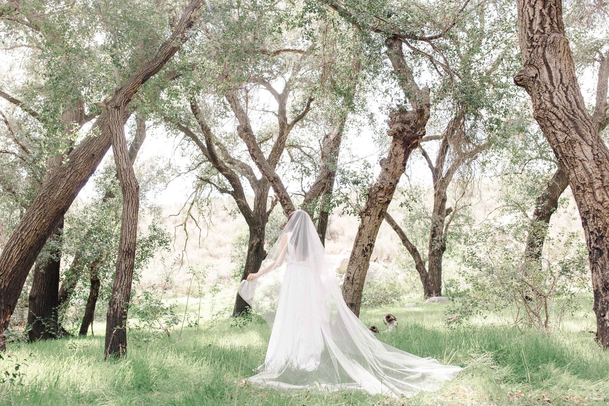 Babsie-Ly-Photography-Fine-Art-Film-Wedding-Bridal-Editorial-in-Hidden-Oaks-San-Diego-067