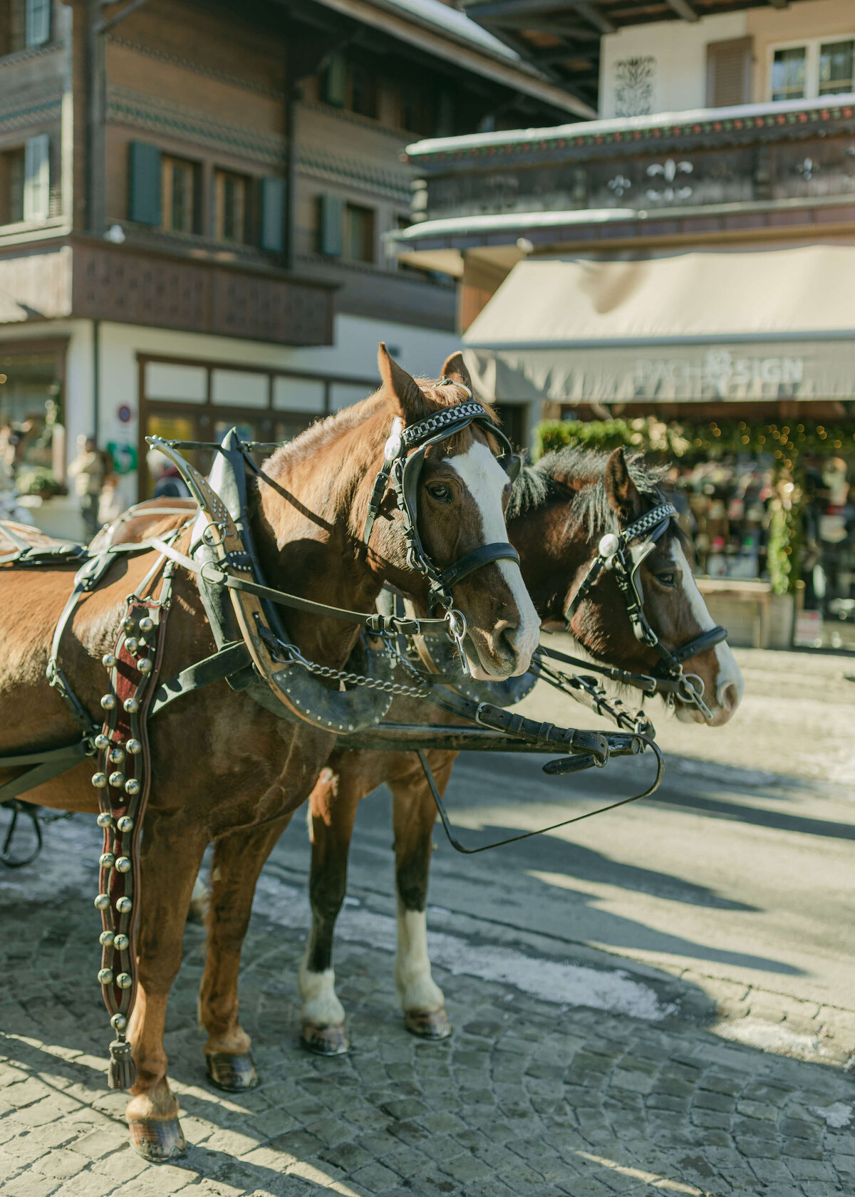 chloe-winstanley-events-switzerland-gstaad-village-horses