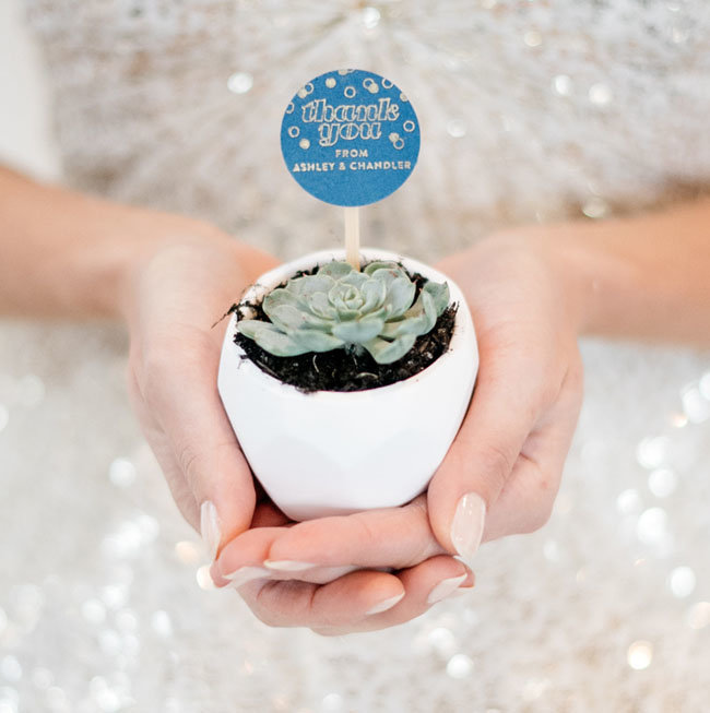 mini succulent wedding favor