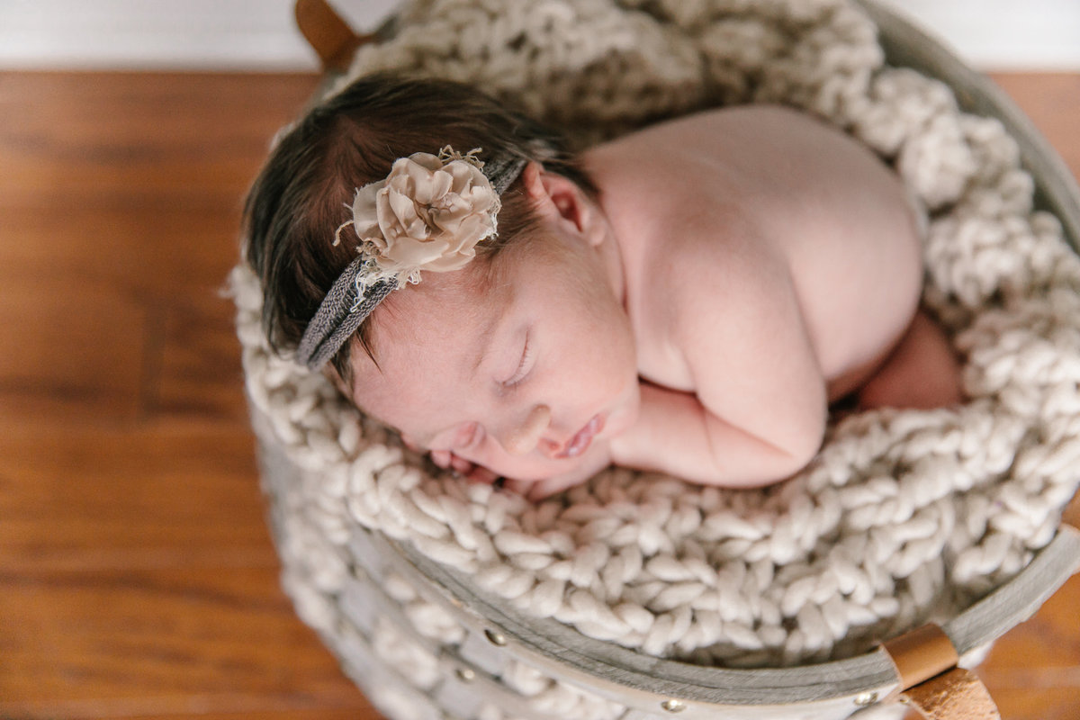 raleigh newborn photographer-lena-8931