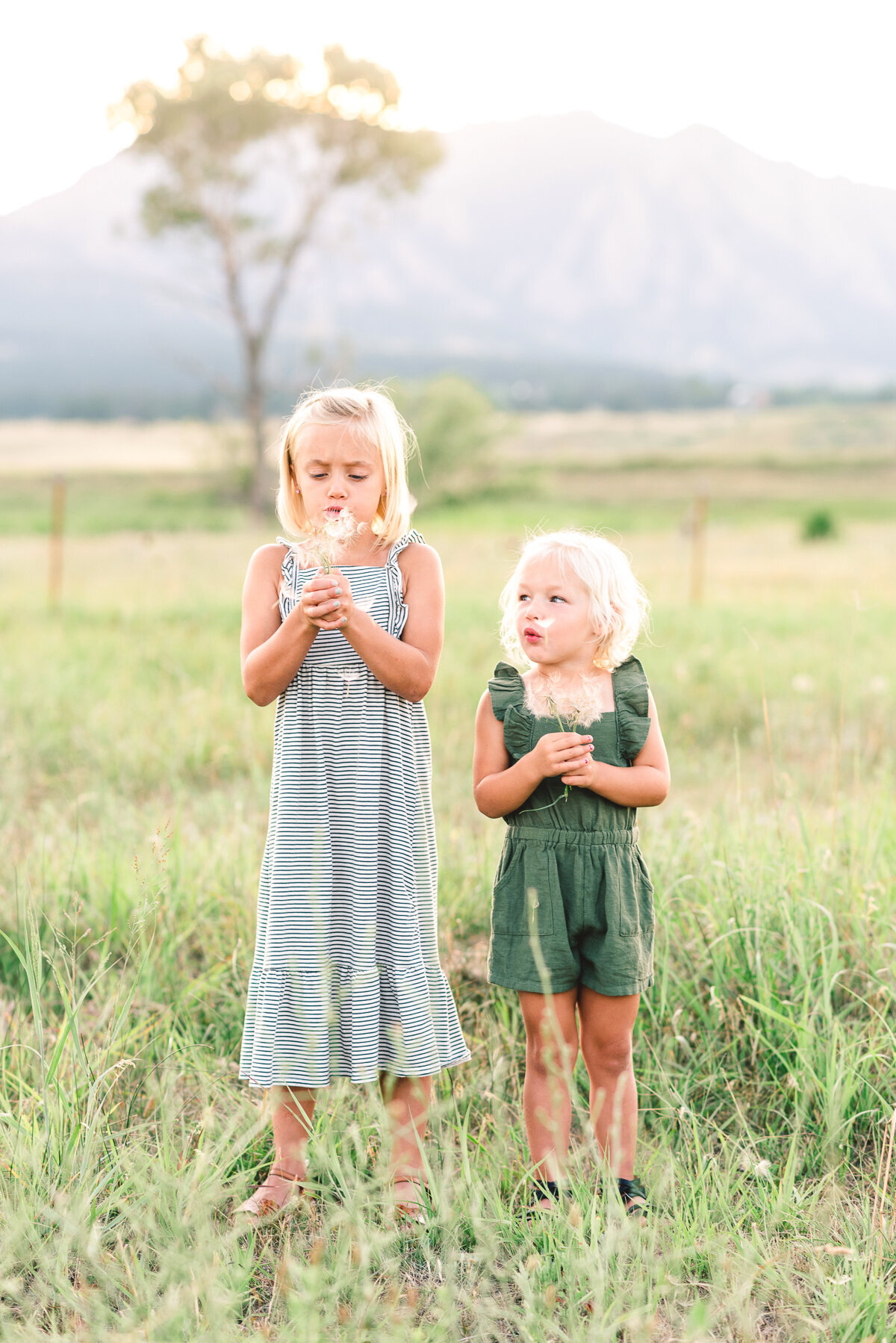 The P Family Boulder Colorado | Lisa Marshall Photography