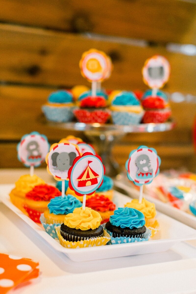 Circus Themed 1st Birthday Indianapolis Party Planner_0069