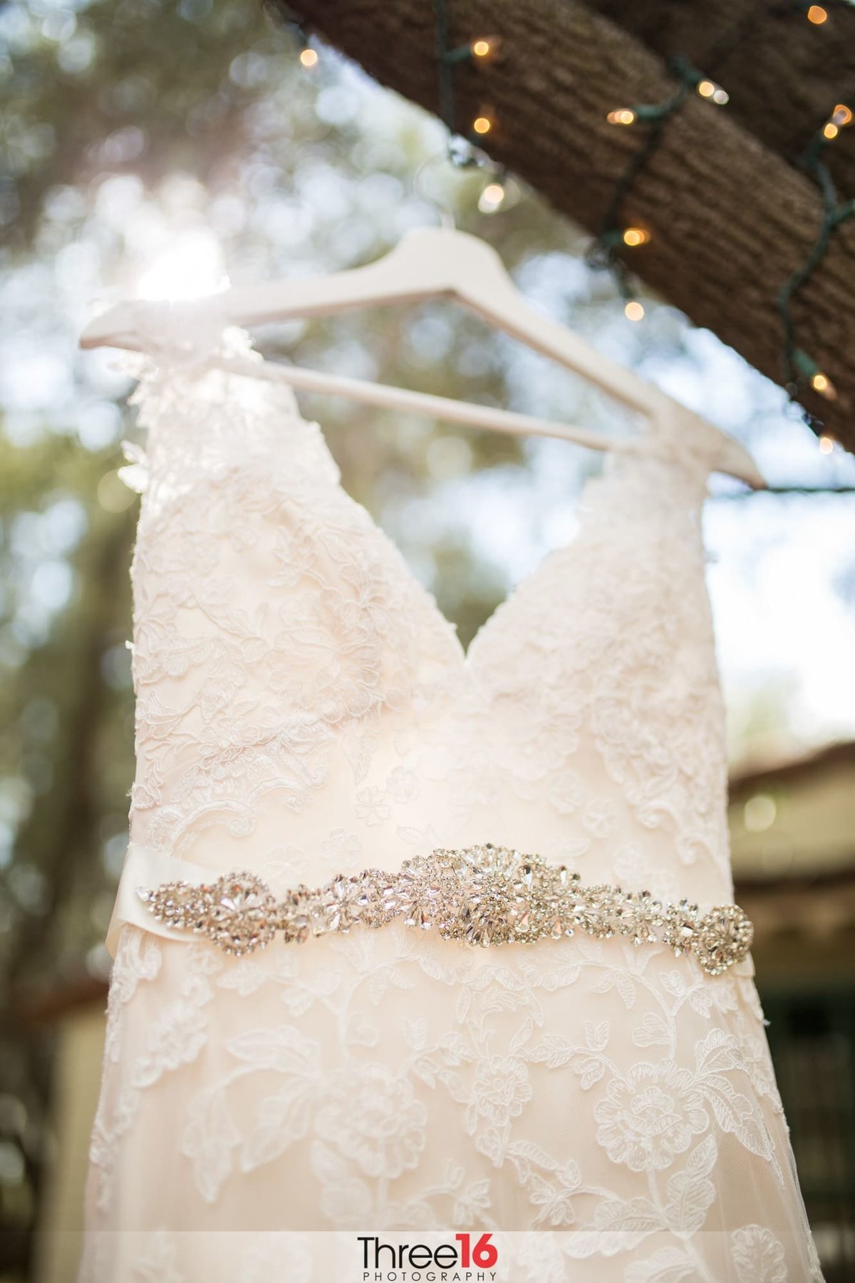 Wedding Dress hanging from a tree