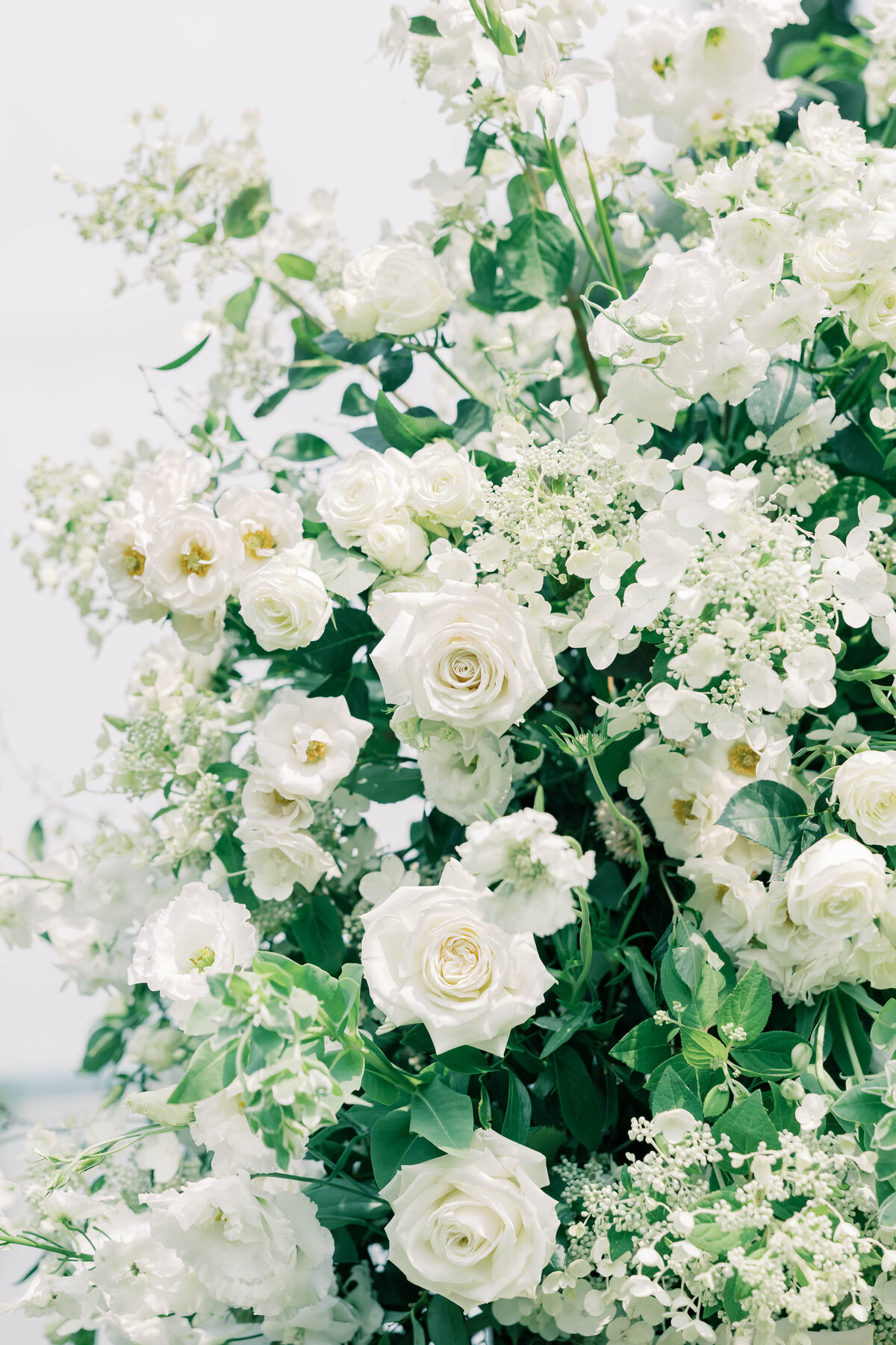 Elle Taylor Photography965222