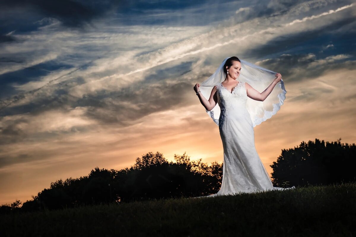 A bride in an elegant white gown with a flowing veil stands against a dramatic twilight sky, her arms spread wide in a moment of joy.